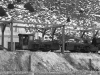 Ore Train