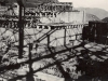 Cyanide Plant Foundations