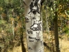Old Arborglyph