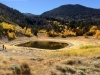 Church's Pond