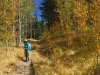 Robin Hiking White's Creek