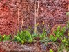 cinderCone_7