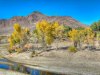 River Sandbar