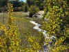Winding River