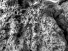 Lava Close Up