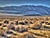 Distant Hill