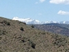 Mt. Rose in Distance