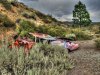 Wrecked Car