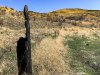 Burned Fencepost