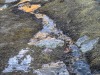 iceWater