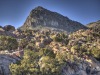 mamaPeak