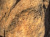 rockCU_1