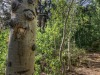 aspenCU