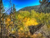 hillsideLight