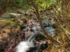 stream