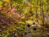 stream1