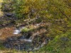 streamCrossing